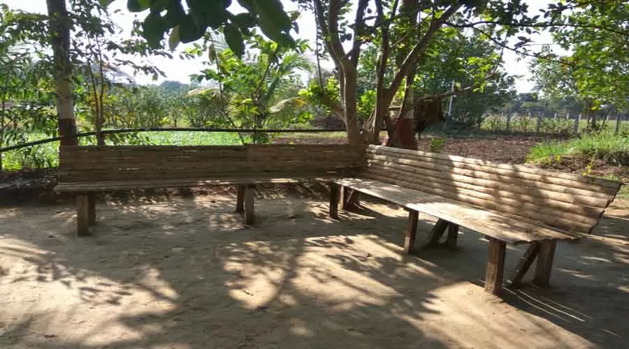 Laxmi Chayaa in shrivardhan at hotelinkonkan.com