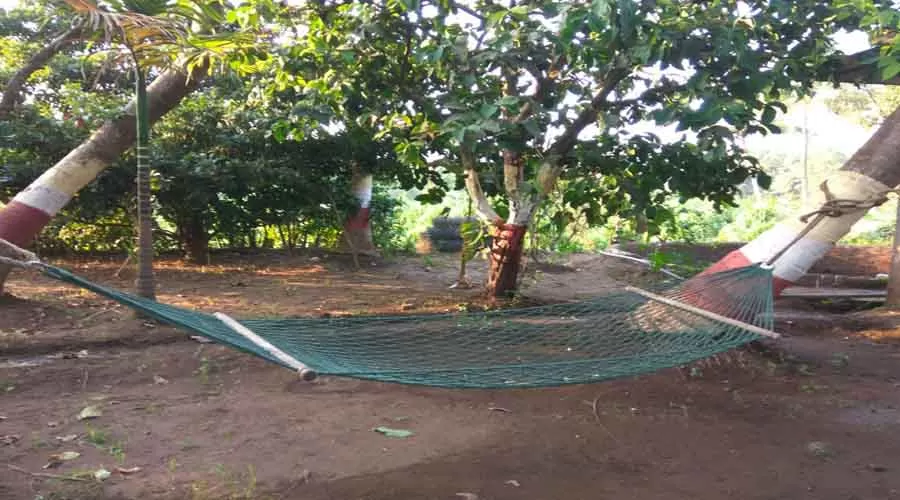 Laxmi Chayaa in shrivardhan at hotelinkonkan.com