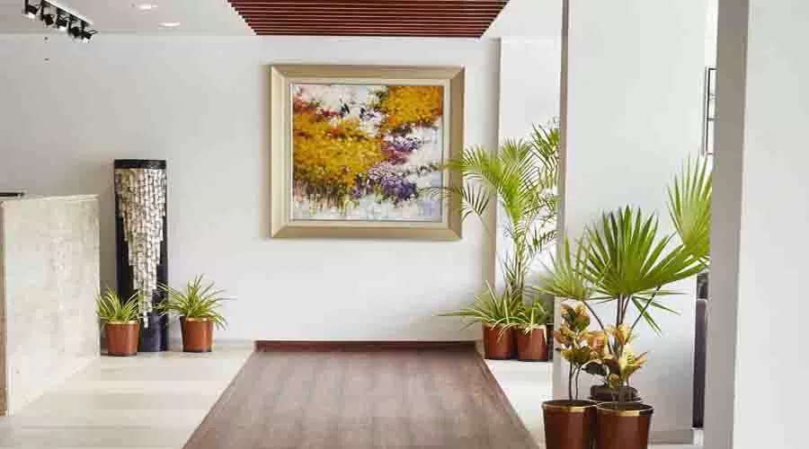 Hotel Reemz in chiplun at hotelinkonkan.com