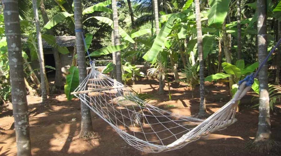 Savli Resort Economy cottage in shrivardhan diveagar hotelsinkonkan.in