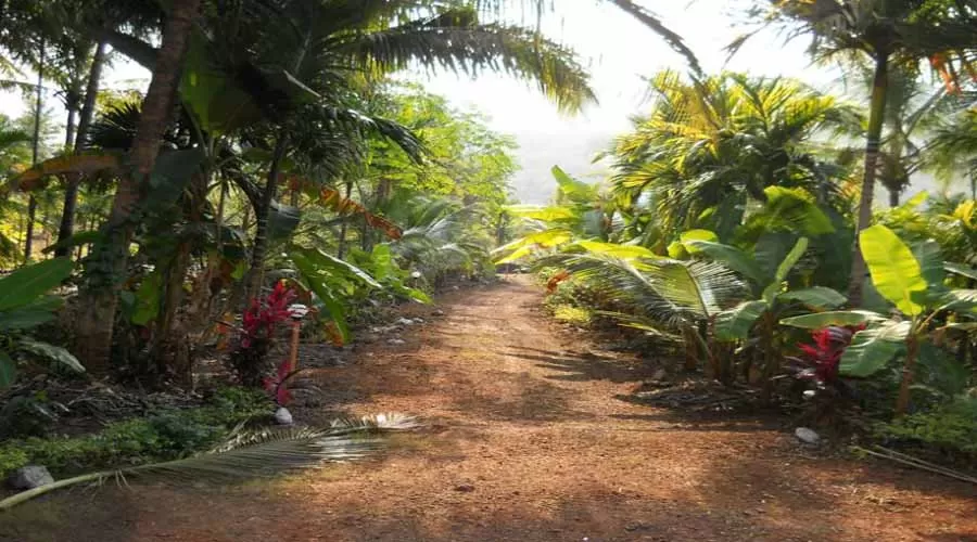 Kavijay Holidays in dapoli at hotelinkonkan.com