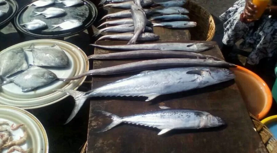 Manisha Nivas in harnai at hotelinkonkan.com