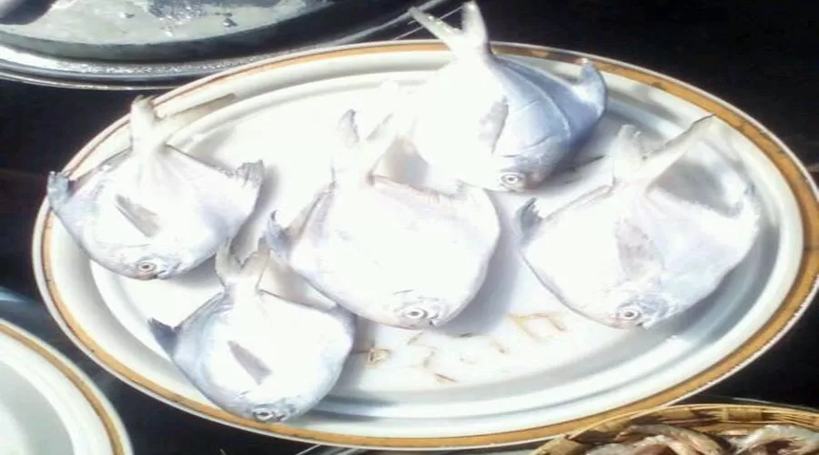 Manisha Nivas in harnai at hotelinkonkan.com