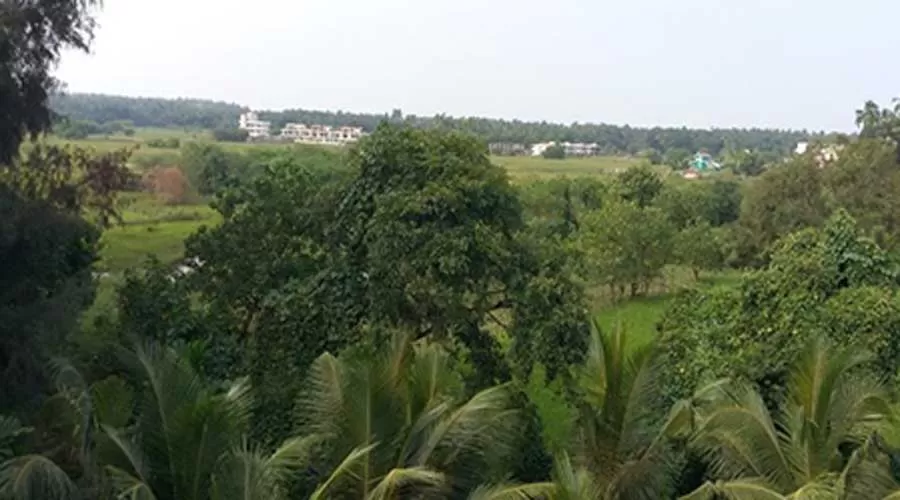 Madhumrug Bungalow in nagon at hotelinkonkan.com