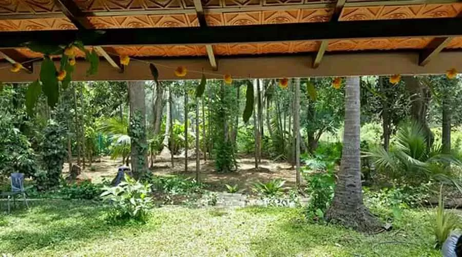 Mukkam Post Nagaon in nagaon at hotelinkonkan.com