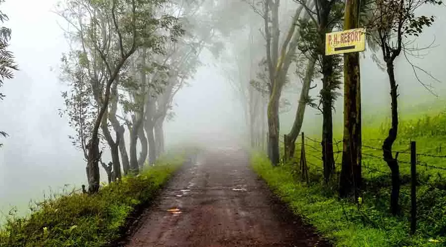 Leisure Line in panchgani at hotelinkonkan.com