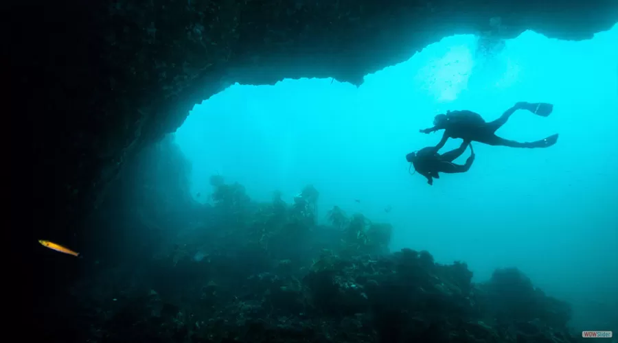 Jay Ganesh Palace malvan at hotelinkonakn.com