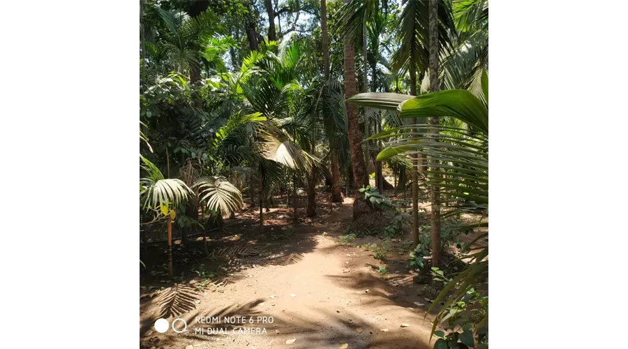 Annapurna Niwas kelshi