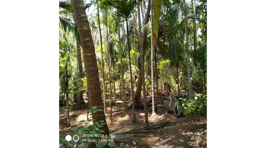 Annapurna Niwas kelshi