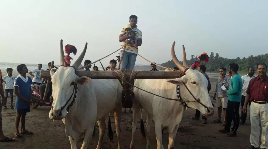 Rajvaibhav Home Stay in anjarle at hotelinkonkan.com