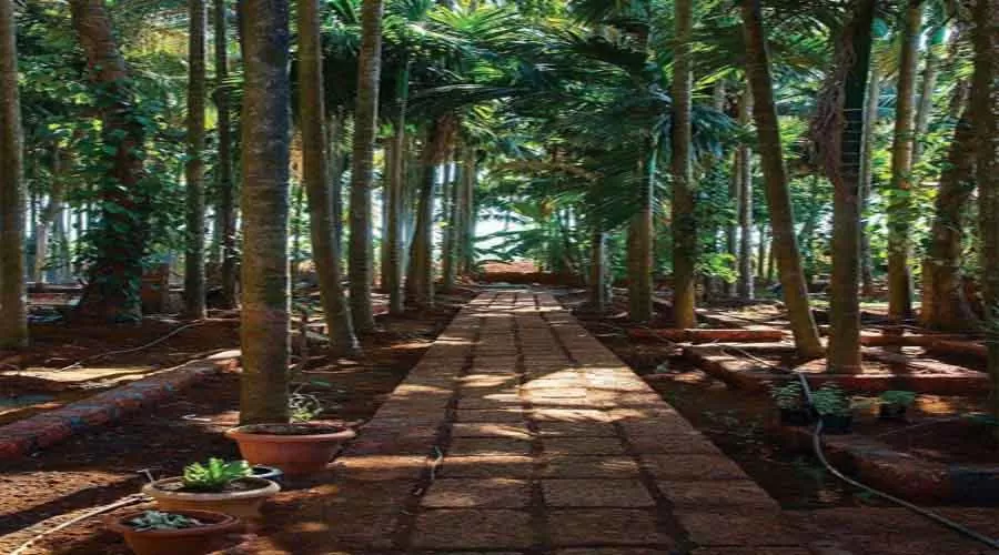 Natures Harmoney Resort in guhagar at hotelinkonkan.com