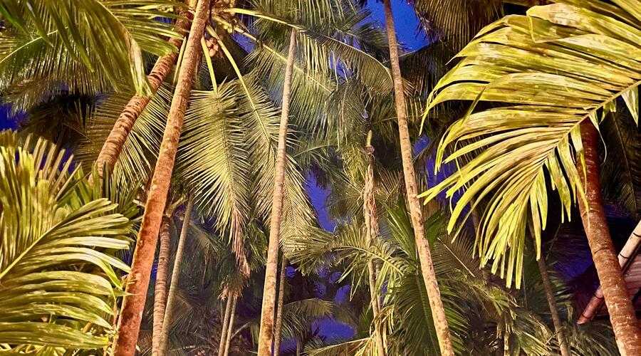 Natures Harmoney Resort Guhagar