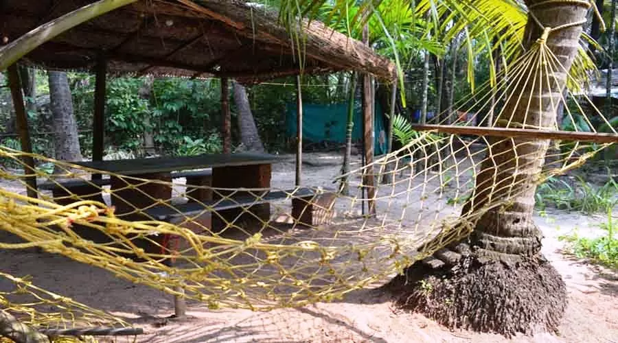 Coconut Garden Beach House in tarkarli at hotelinkonkan.com