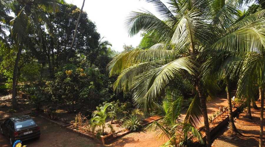 Omkar Sai Niwas  & Annapurna Bhojanalay in ganpatipule
