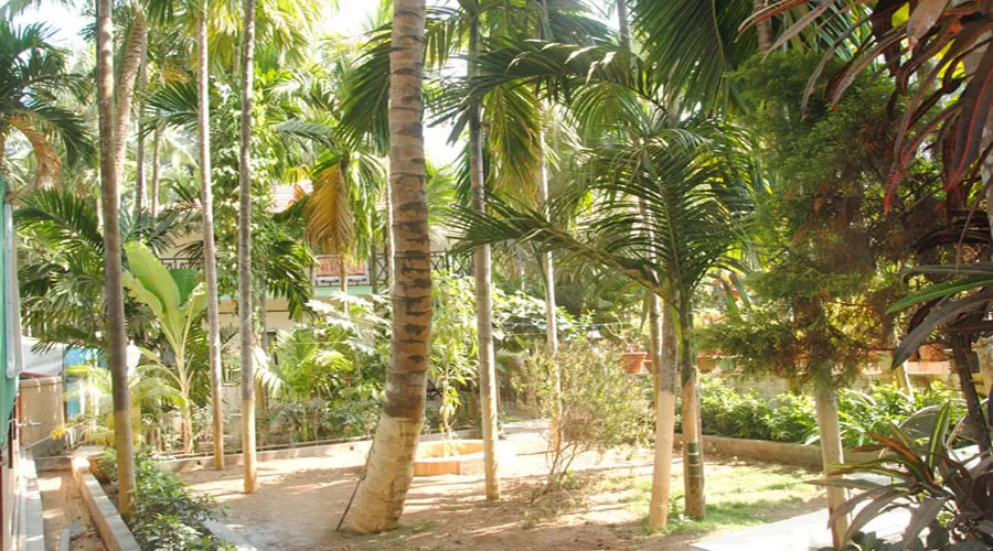 Shreemat Resort in diveagar at hotelinkonkan.com