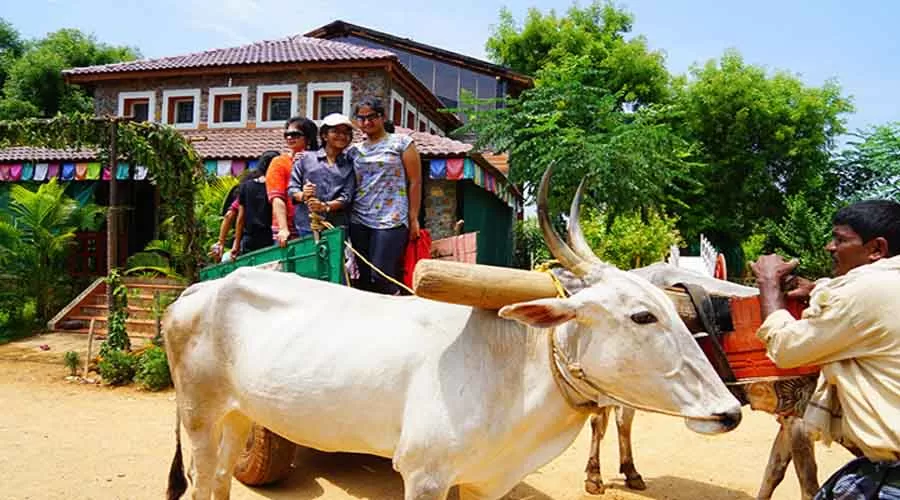 Mais Resort in Sindhudurg at hotelinkonkan.com