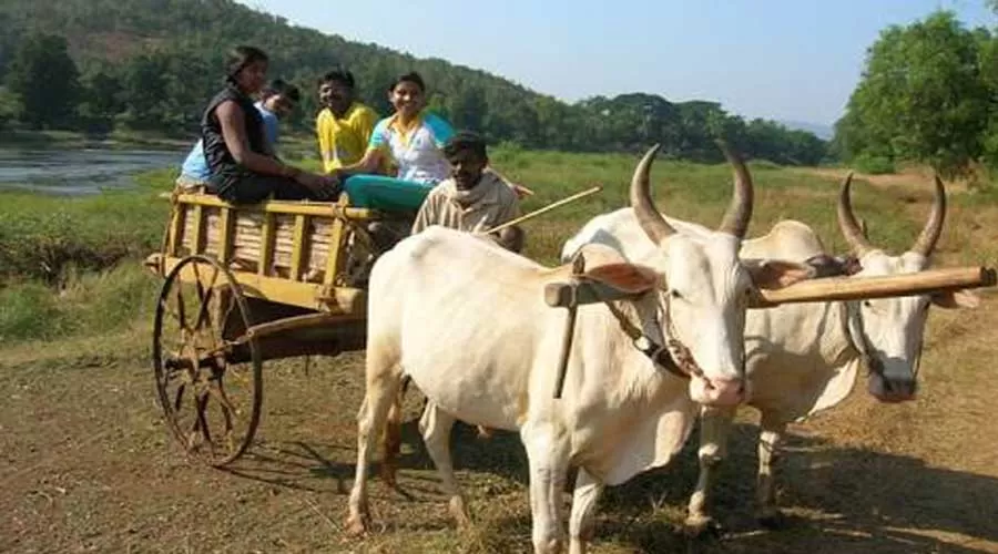 Mais Resort in Sindhudurg at hotelinkonkan.com