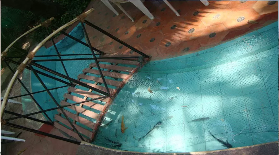 Shingle Resort nagaon hotelsinkonkan.in