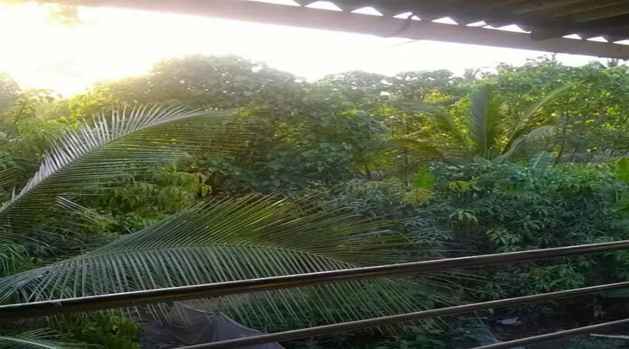 Shri Hari Cottage nagaon at hotelinkonkan.com