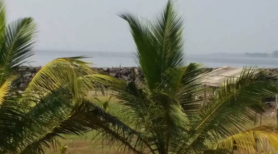 Mangetsu Farm in alibaug at hotelinkonkan.com