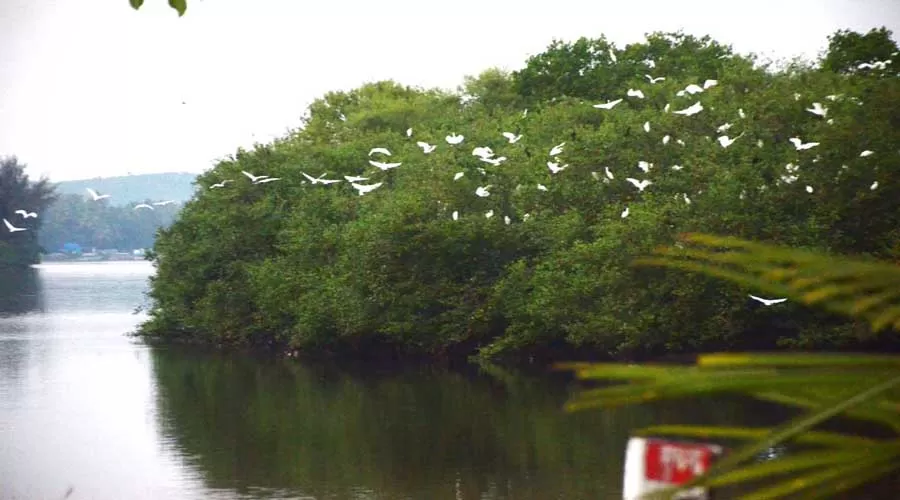 Madhurai River View Resort in devbaug at www.hotelinkonkan.com