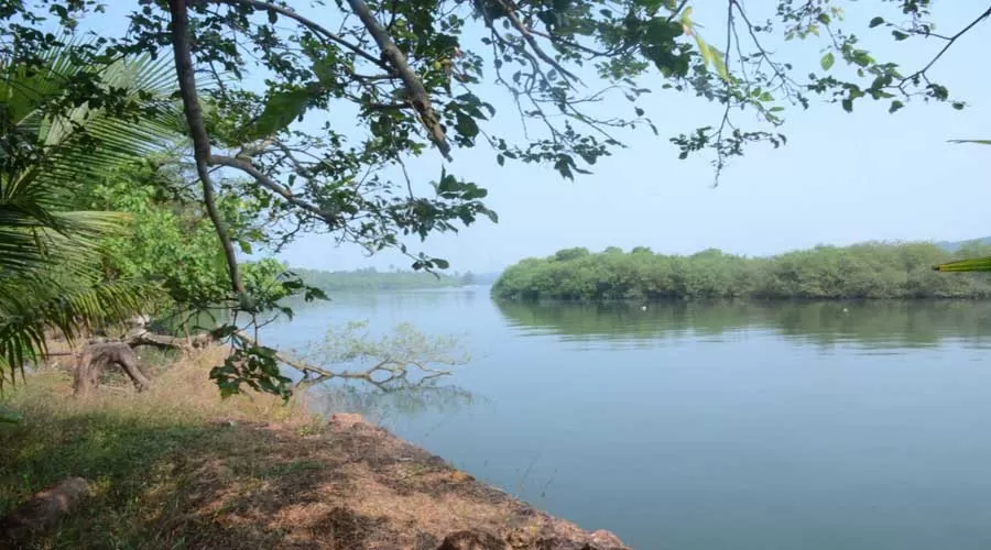 Madhurai River Resort in devbaug at hotelinkonkan.com