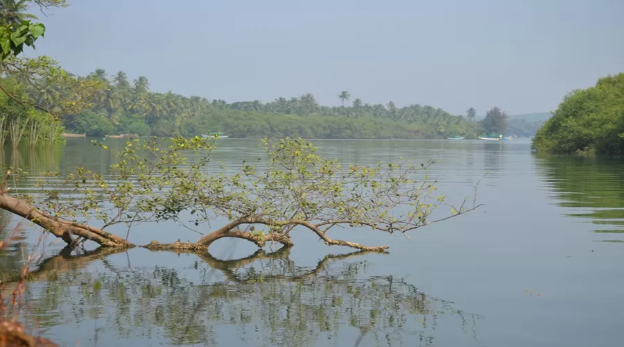 Madhurai River Resort in devbaug at hotelinkonkan.com