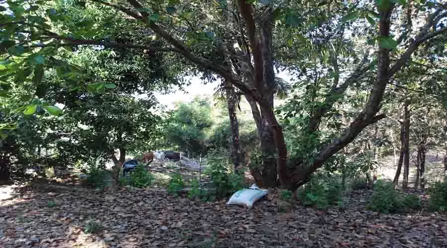 Sagwan Nivas in malvan at hotelinkonkan.com