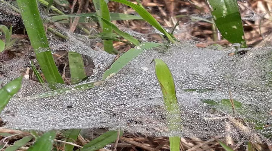 Sagwan Nivas in malvan at hotelinkonkan.com