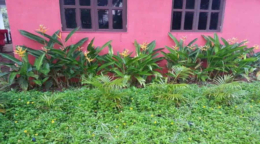 Surve Farm House in guhagar at hotelinkonkan.com