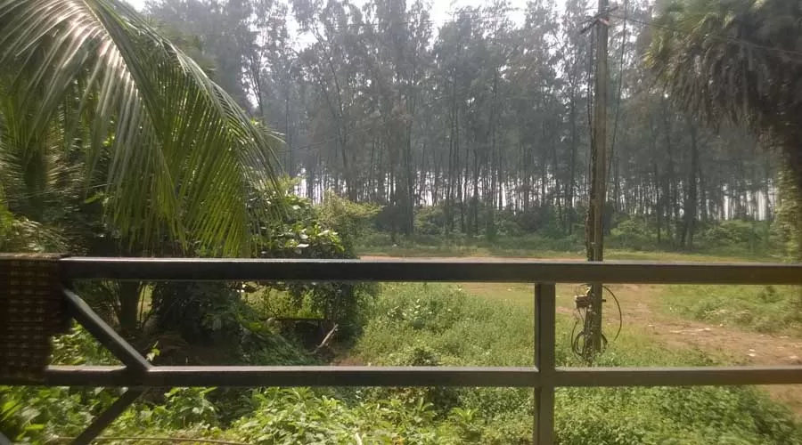 Mhatre Holiday Home in nagaon at hotelinkonkan.com