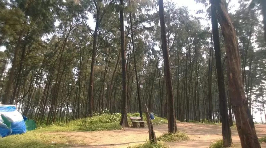 Mhatre Holiday Home in nagaon at hotelinkonkan.com