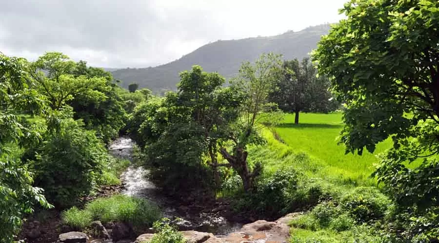 Shangrila Valley Farm in dapoli at hotelinkonkan.com