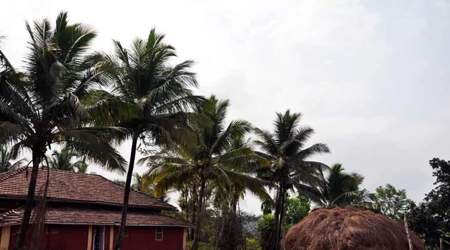 Shangrila Valley Farm in mandangad at hotelinkonkan.com