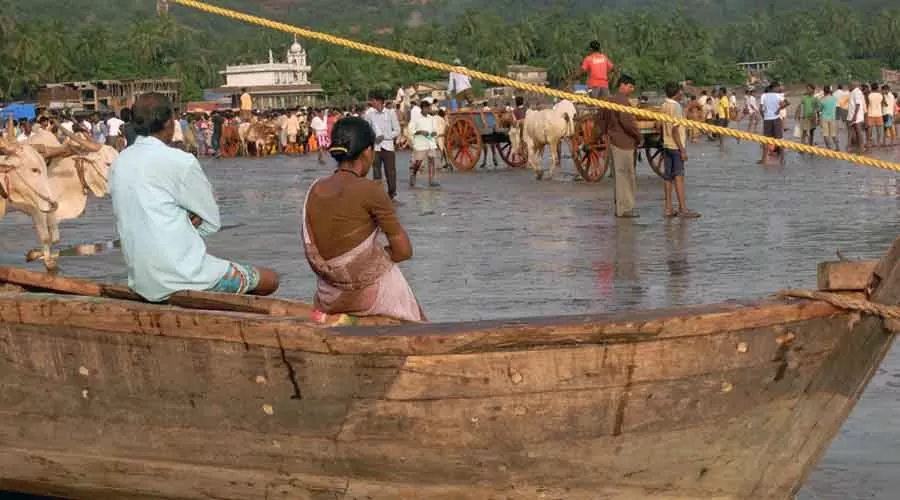 Shangrila Valley Farm in mandangad at hotelinkonkan.com