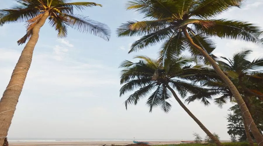 Om Shanti Beach Resort karde at hotelinkonkan.com