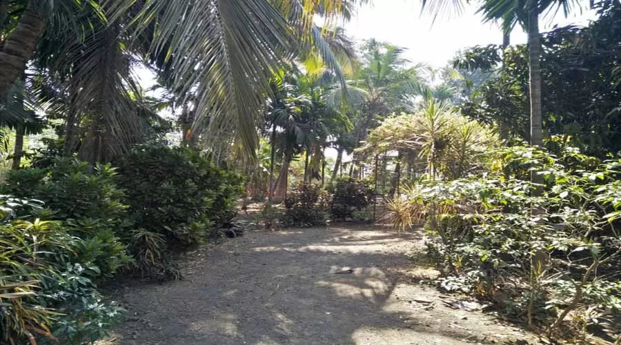 Parijat Cottage in alibaug