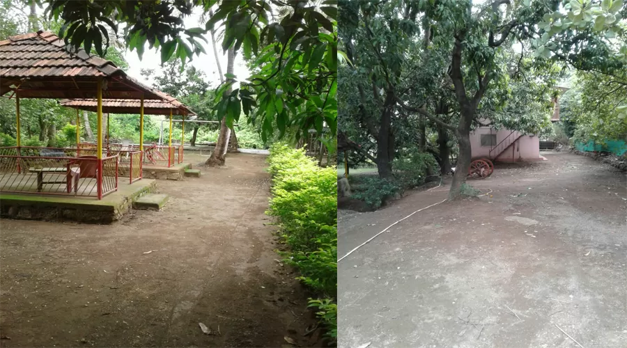 Sai Shrushti farms in alibaug