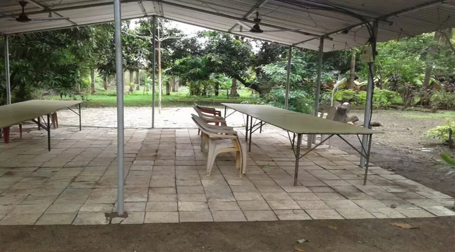 Sai Shrushti farms in alibaug