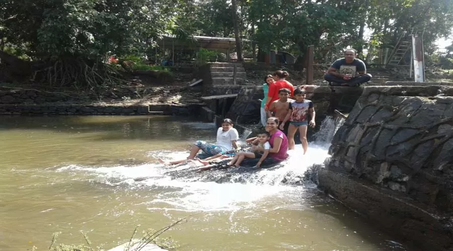 Sai Shrushti farms in alibaug