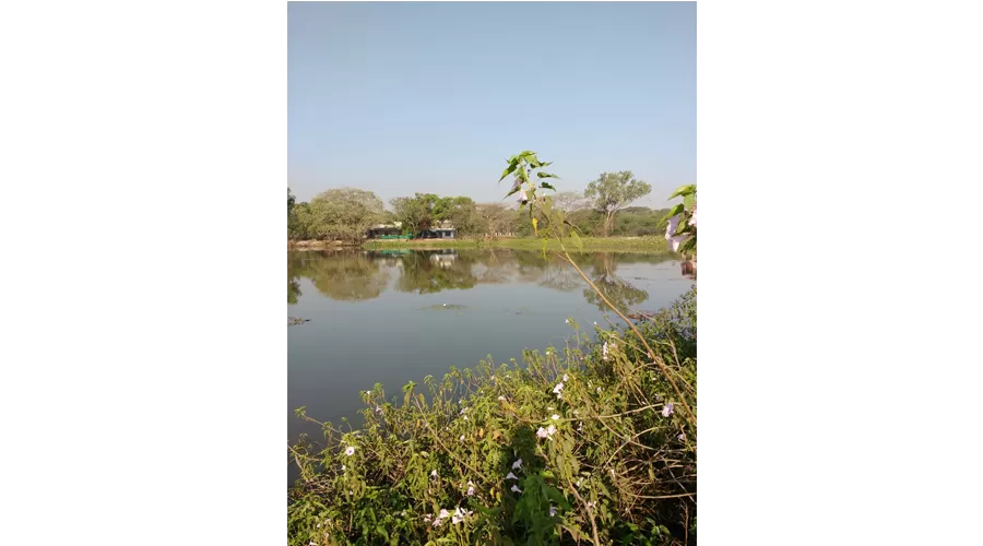 Jeevan Geet bungalow varsoli alibaug