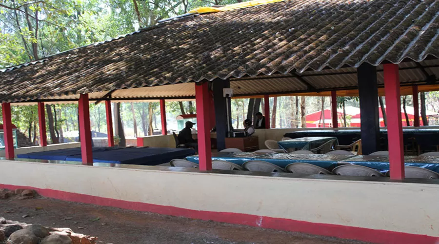 Snap of Jungle resort