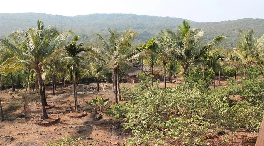 Bharadwaj Bungalow dapoli