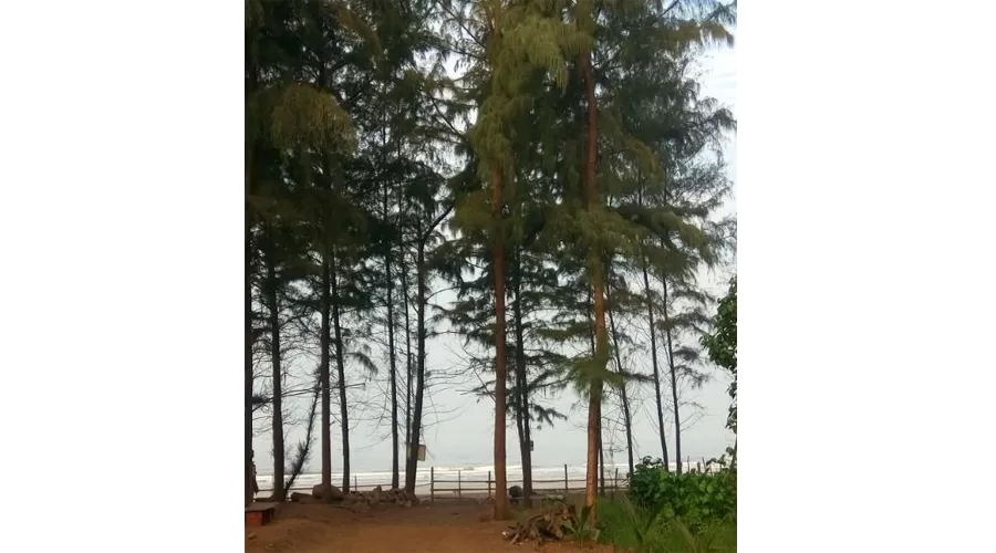 Suma Beach Resort Murud beach dapoli