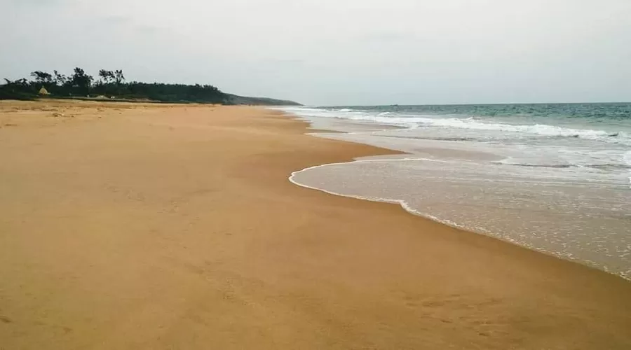 The Monkey Retreat devgad