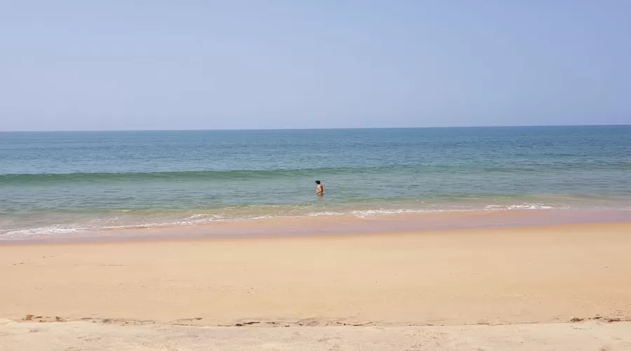 The Monkey Retreat devgad