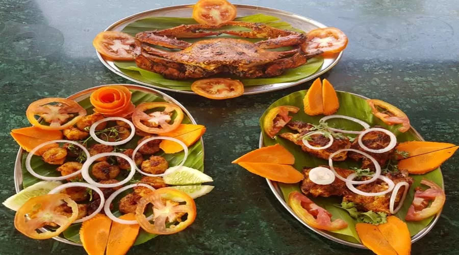 The Monkey Retreat Devgad