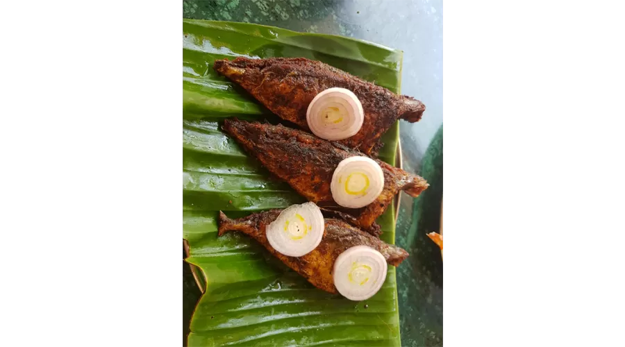 The Monkey Retreat Devgad