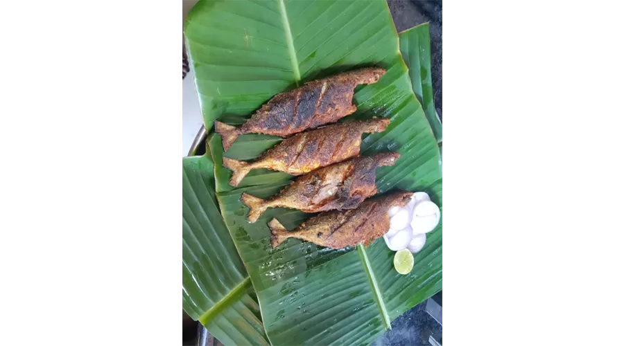 The Monkey Retreat Devgad