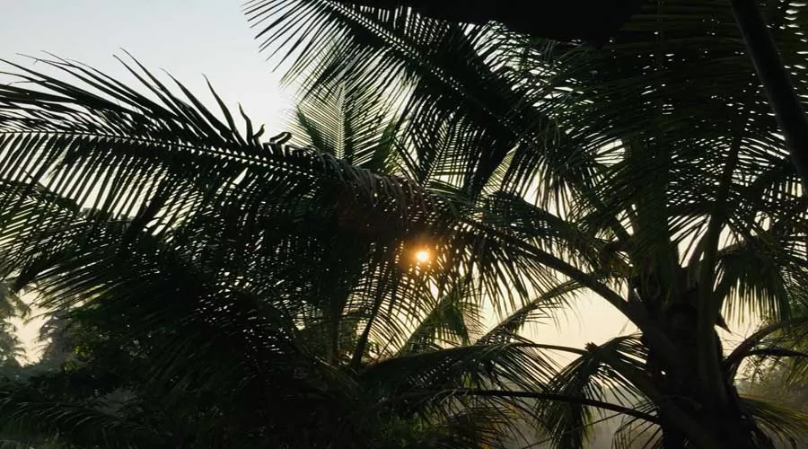 Bhagyabhushan cottage nagaon